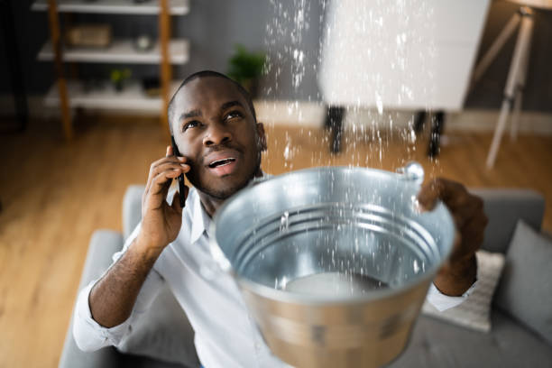 Best Basement water damage restoration  in Heath, OH