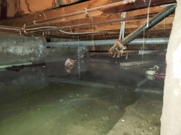 Best Flood damage cleanup  in Heath, OH