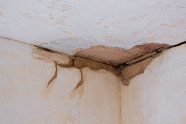 Best Ceiling water damage repair  in Heath, OH