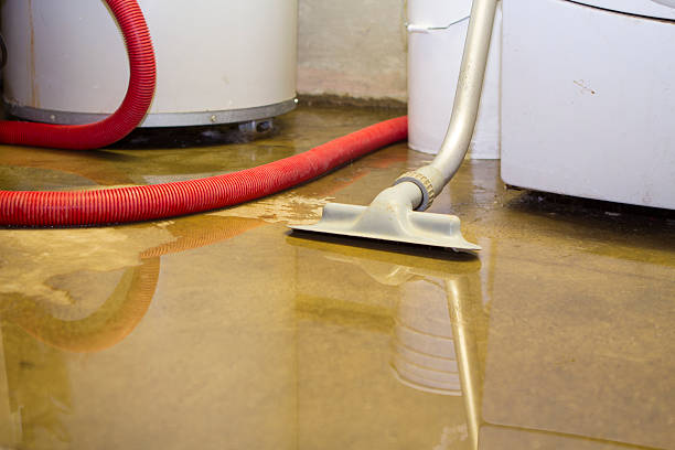 Best Water damage restoration process  in Heath, OH