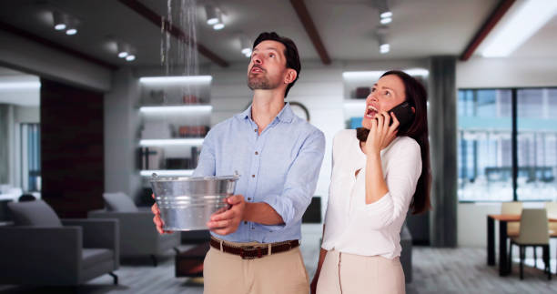 Best Ceiling water damage repair  in Heath, OH